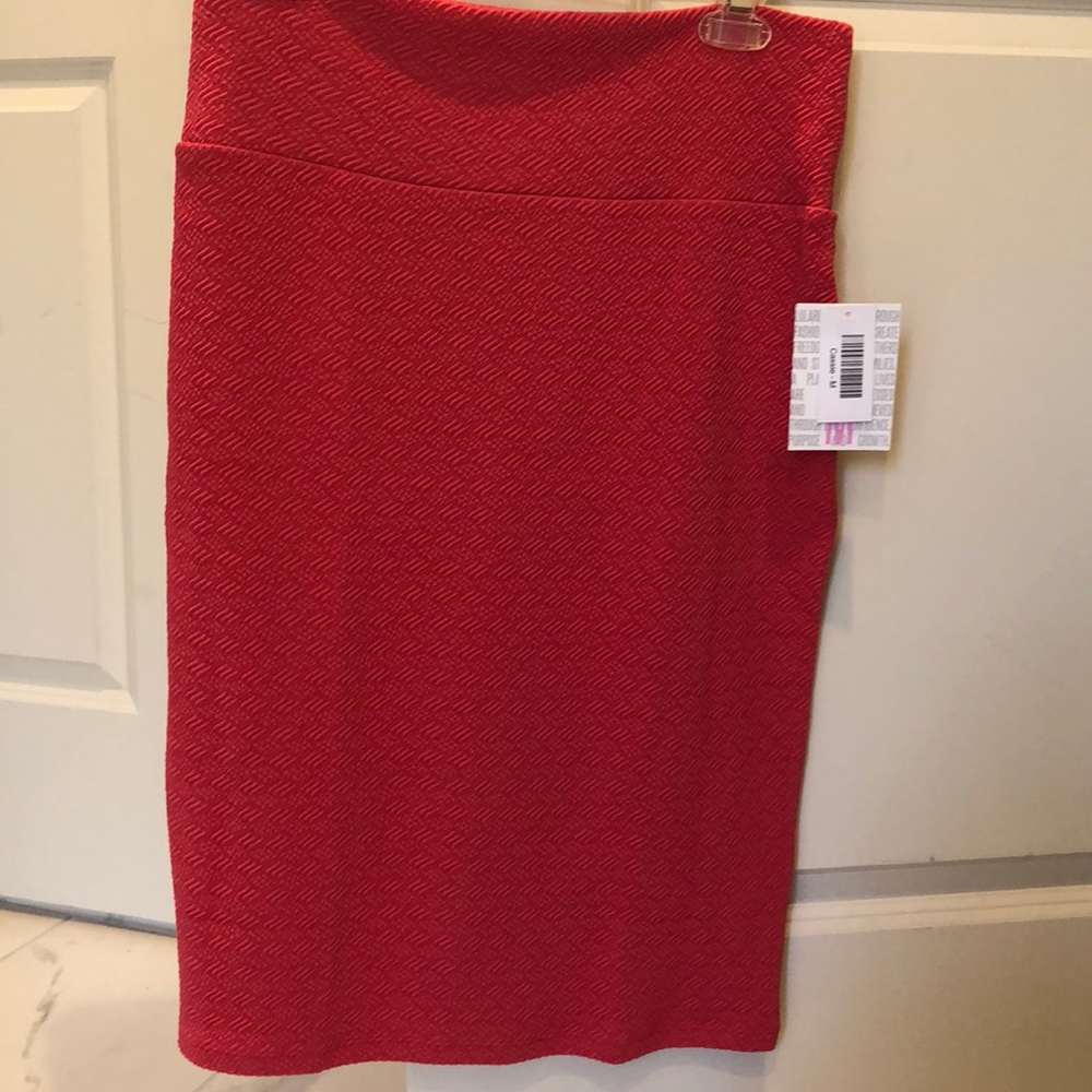 LuLaRoe Cassie pink skirt